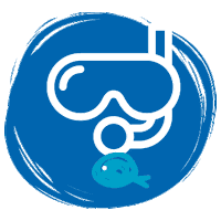 SSDF fish sea enjoy dive Sticker