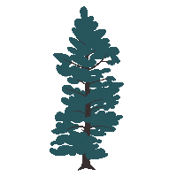 Canadian Tree Sticker