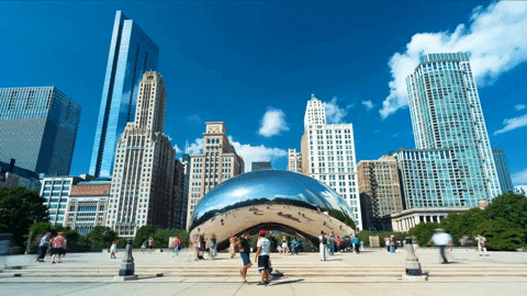 BaeBees giphyupload travel chicago bean GIF