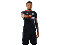 Dropping Bayer 04 Sticker by Bayer 04 Leverkusen