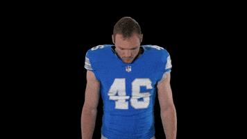 Nfl Michigan GIF by Detroit Lions