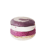 joemakroenchen ice cream summer time macaron macarons Sticker