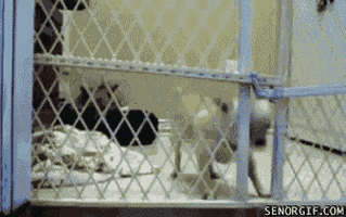 way escape GIF