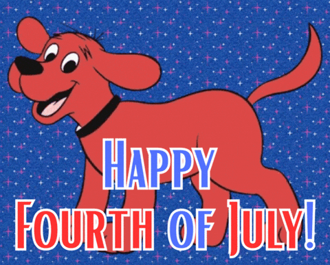 possumgirl giphyupload america united states 4th of july GIF
