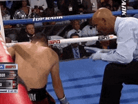toprank fight boxing fighting espn GIF