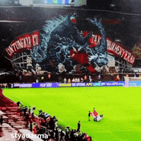 Timnas Indonesia Football GIF
