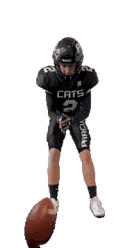 PragueBlackCats americanfootball pbc pbp tacklefootball Sticker