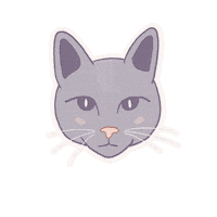 Cats Sticker by Aisthetikos Injectables