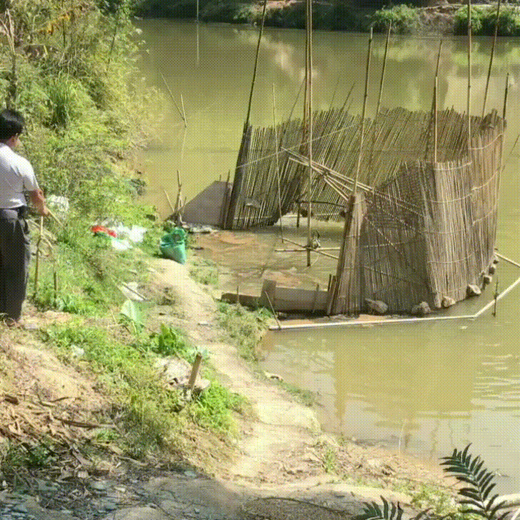 fish trap wow GIF by JustViral.Net