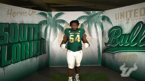 South Florida Flex GIF by USF Athletics