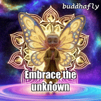 Butterfly Glow GIF by BuddhaFlyJourney