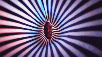 meowwolf meow wolf experience tube GIF