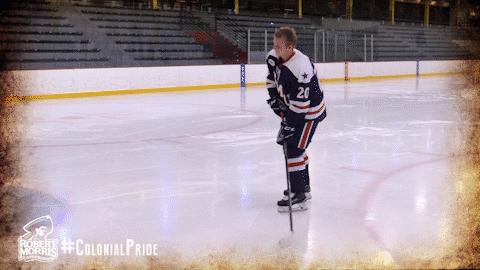 happy ice hockey GIF by Robert Morris University Athletics