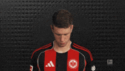 Eintracht Frankfurt GIF by Bundesliga