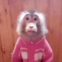 Czz GIF