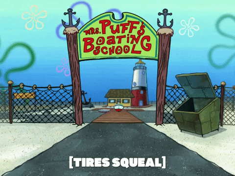 season 6 GIF by SpongeBob SquarePants