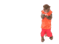 Fun Monkey Sticker