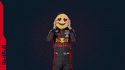 Red Bull F1 GIF by Red Bull Racing