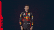 Red Bull F1 GIF by Red Bull Racing