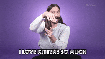 Love Kittens