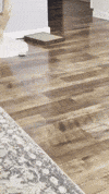 Cat Car GIF