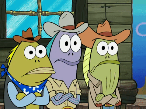 season 5 GIF by SpongeBob SquarePants