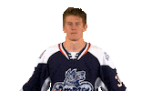 Wolf Pack Hwp Sticker by Hartford Wolf Pack