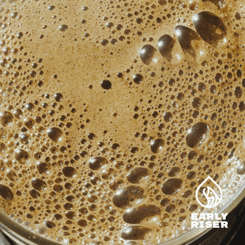 earlyriser giphyupload coffee drugs caffeine GIF