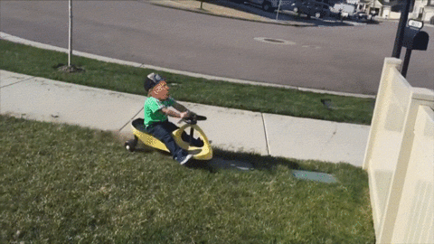 wall building GIF