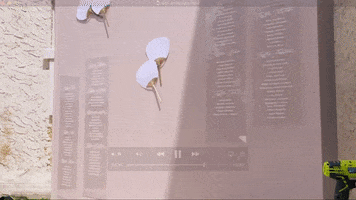andimejiaco youtube wedding vlog GIF