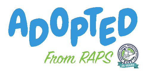 Adopt Animal Rescue Sticker by rapsbc