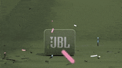 sound speaker GIF by JBL Audio