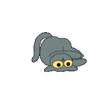 Cat Sticker by @gallegoseba