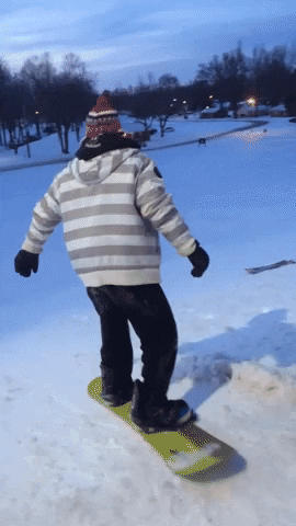 snowboard GIF by America's Funniest Home Videos