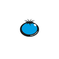 bluetomato snowboard snowboarding blue tomato bluetomato Sticker