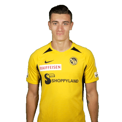Super League Yes Sticker by BSC Young Boys
