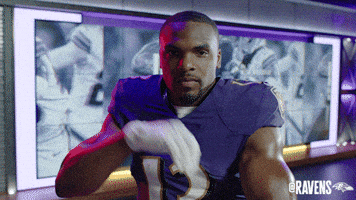 Football Celebrate GIF by Baltimore Ravens