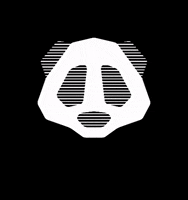 bear panda GIF