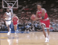 chicago bulls GIF
