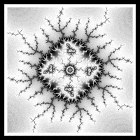 Loop Nft GIF by xponentialdesign