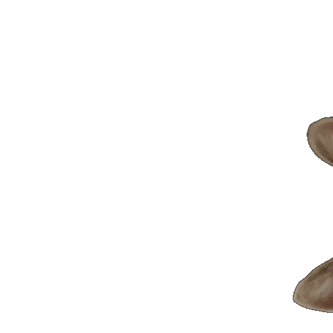 Whats Up What Sticker by fru farkas