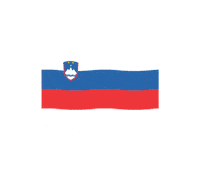 Flag Go Sticker by Rokometna zveza Slovenije