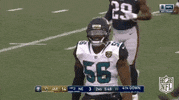 Jacksonville Jaguars Football GIF by NFL