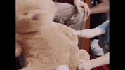 StophouseMusicGroup squad goals prof profgampo gampo GIF