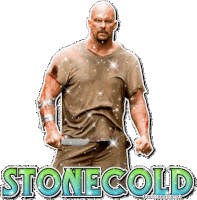 stone cold wwe STICKER