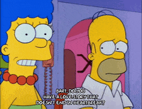 homer simpson episode 3 GIF