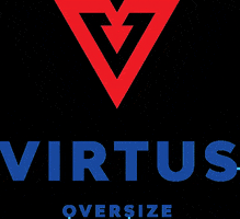 Virtuslogistics transport logistics virtus tsl GIF