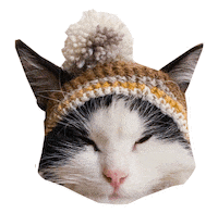 Tuxedo Cat Sticker