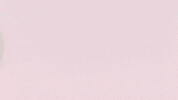Football Sport GIF by FC Red Bull Salzburg