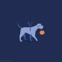 Animation Dog GIF by Deer Whale